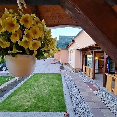 Pensiunea Brazi Turda
